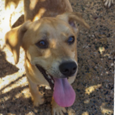 Foto de Spancer