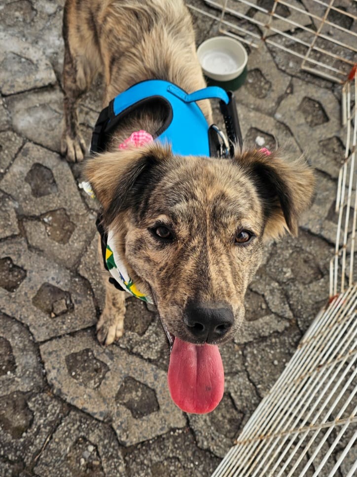 Foto de Zoe